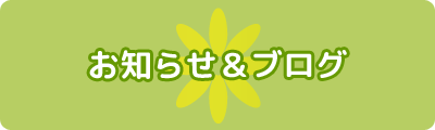 お知らせ&ブログ